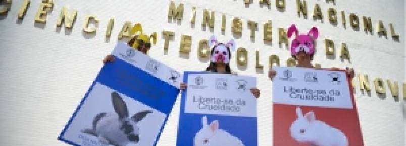 Uso de animais em testes na indústria de cosméticos será debatido no Senado